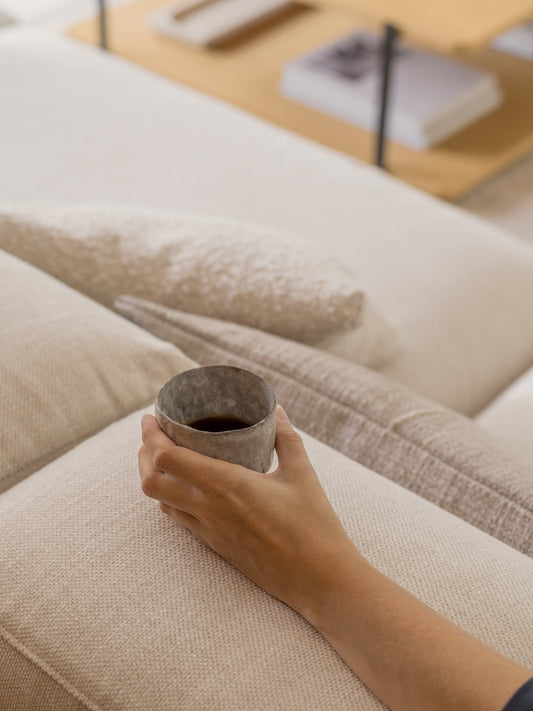 Slik holder du spisestuestoler og sofaer rene og fine