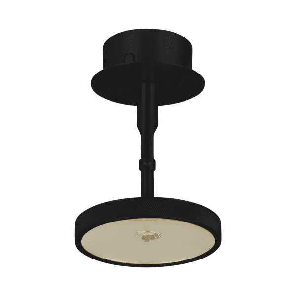 Asteria spot lamp