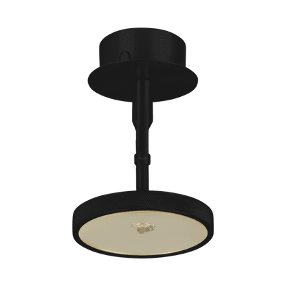 Asteria spot lamp