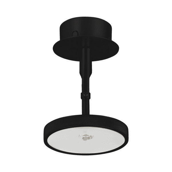 Asteria spot lamp