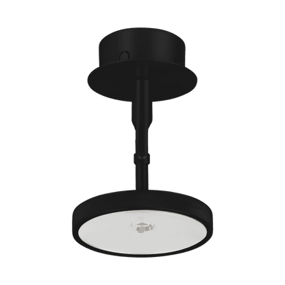 Asteria spot lamp