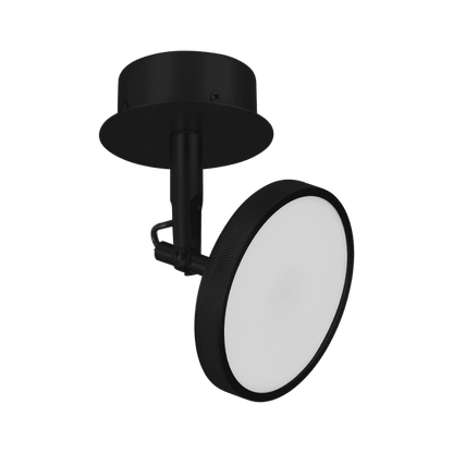 Asteria spot lamp