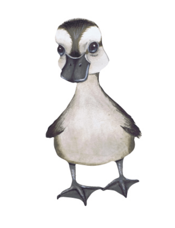 That's Mine Wallsticker The Little Duck, en del av kategorien Wallstickers - At Home Interiør